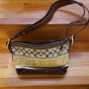 Coach Brown hobo bag